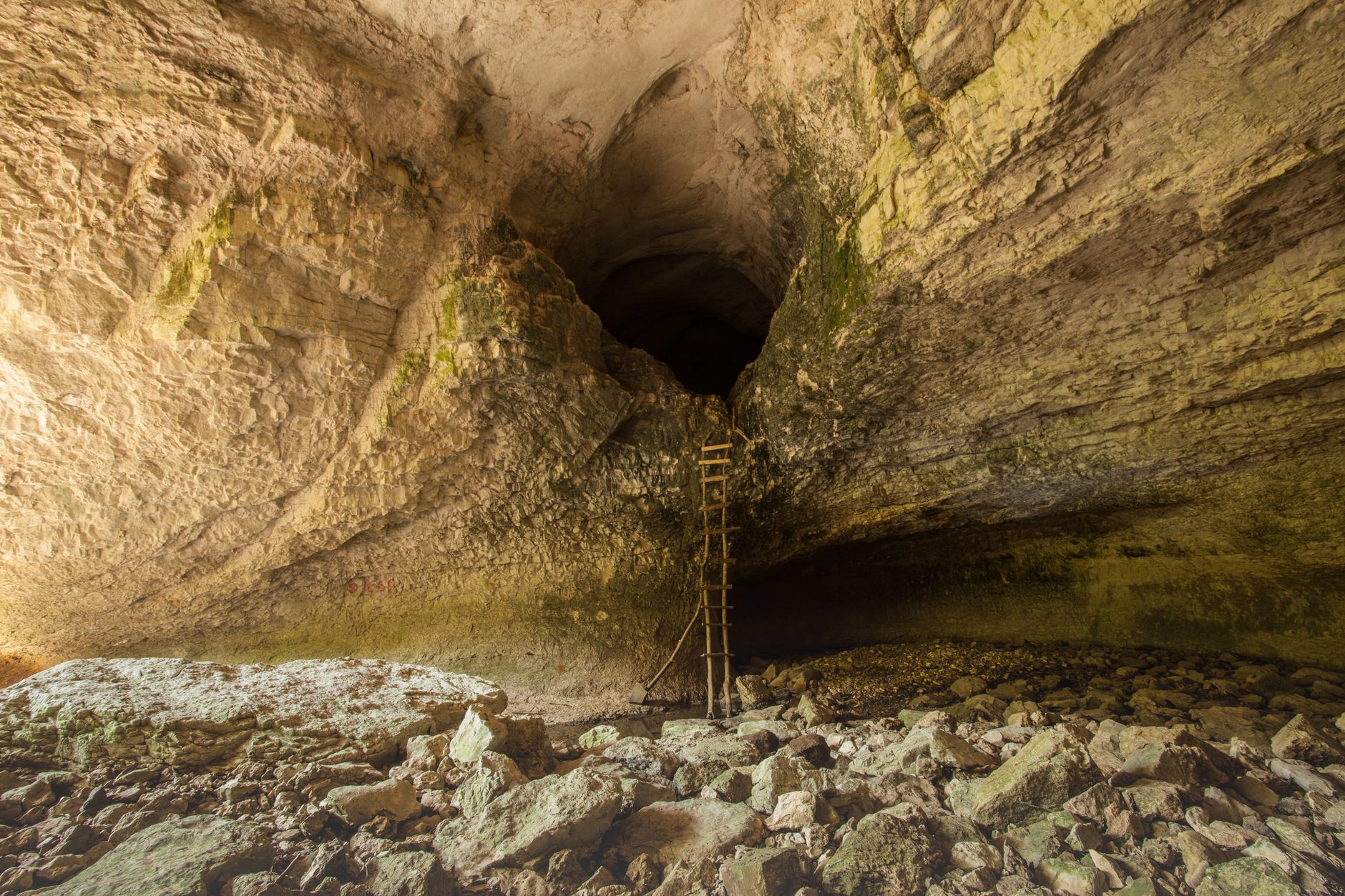 A rustic wooden ladder leading into the depths of a grand limestone cave, with rugged geological formations.